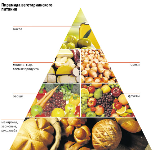 Вегетарианская Диета Что Можно Есть