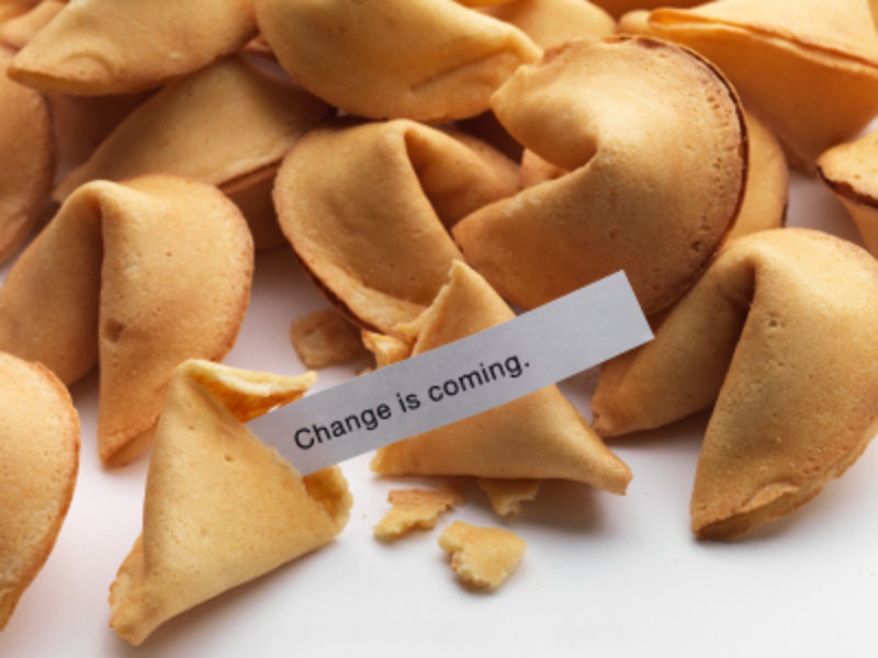 Image result for fortune cookies