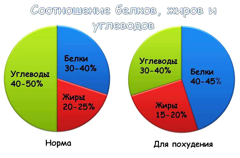 Соотношение Бжу Для Снижения Веса