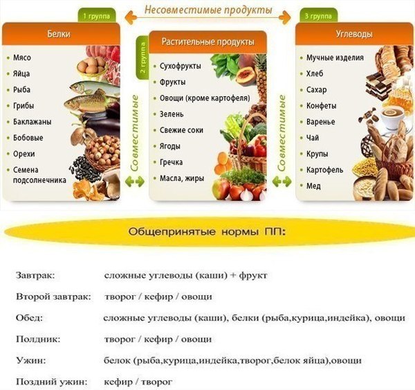 Какая Диета Лучше Белковая Или Углеводная