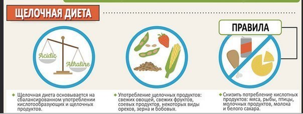 Основные Виды Диет Их Плюсы И Минусы