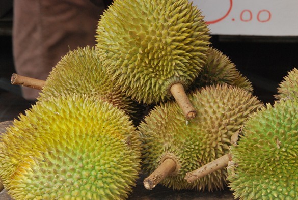 Фото и отзывы о ДУРИАН – уникальный фрукт из Таиланда