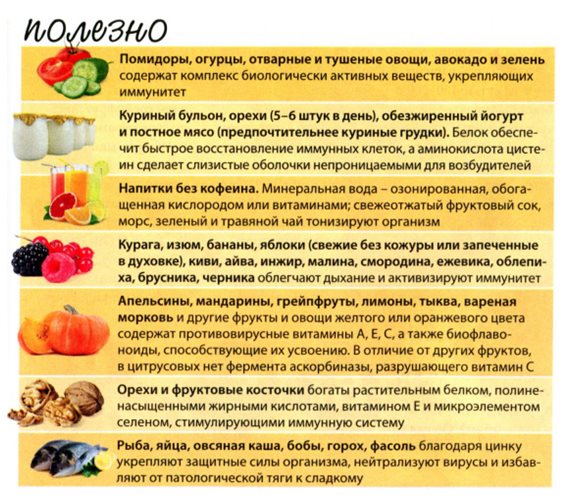 Фото продуктов полезных для иммунитета организма человека