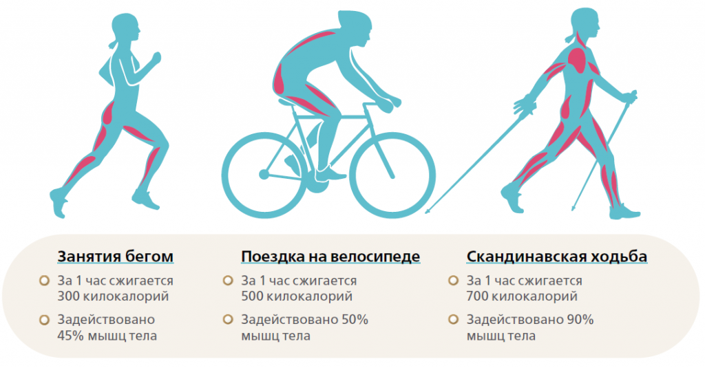 Ходьба или бег что лучше для похудения. Сравнение бега и скандинавской ходьбы. Какие мышцы ног задействованы при езде на велосипеде. Мышцы задействованные при езде на велосипеде. Мышцы щадействованные притезде на велосипеде.