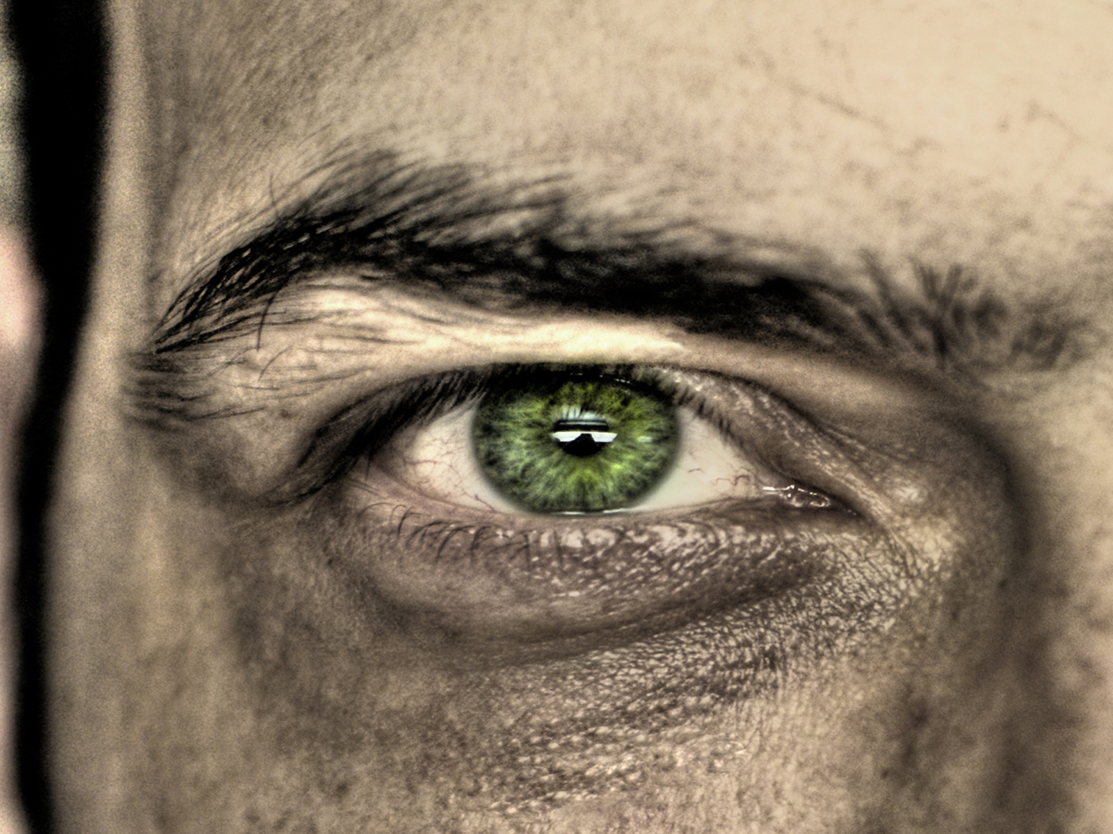 Глаза кипят. Глаза мужские. Зелёные глаза. Глаз картинка. Красивые зеленые глаза мужские.