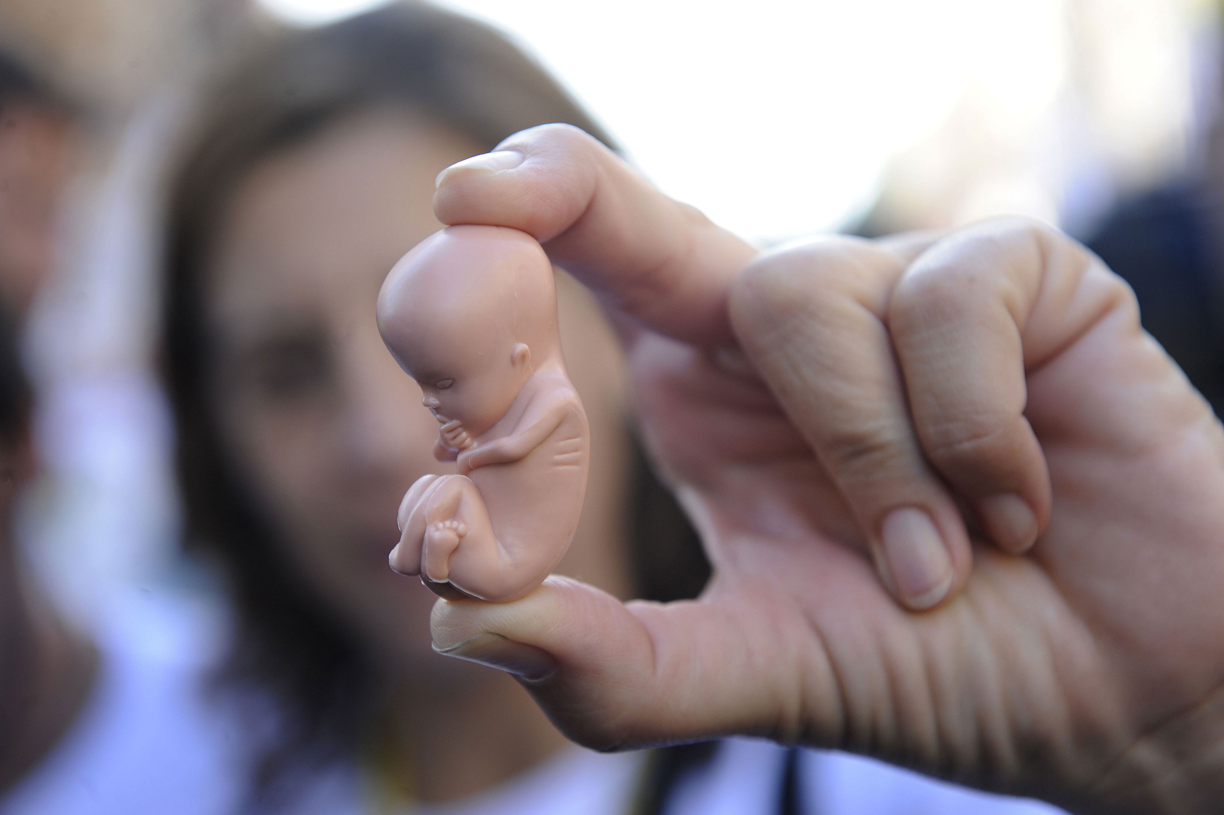 Фото - В России хотят полностью запретить аборты