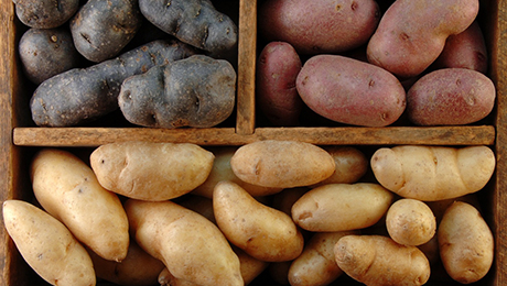 Фото и отзывы о Парочка советов о том, как хранить картофель