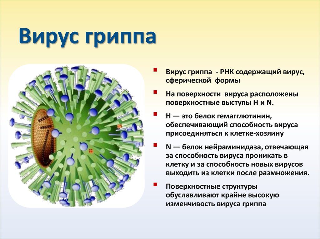 Есть вирусные заболевания и